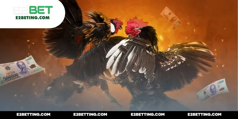 Được huấn luyện trong môi trường chuẩn từng bữa ăn đến luyện tập