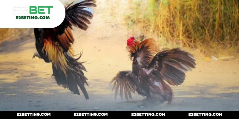 Hệ thống thanh toán tự động chuẩn xác đến bất ngờ