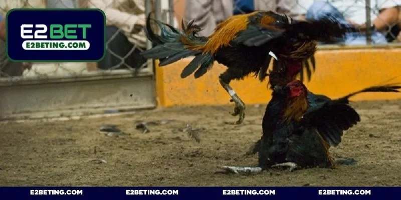 Hệ thống giao dịch được bảo mật mã hóa an toàn